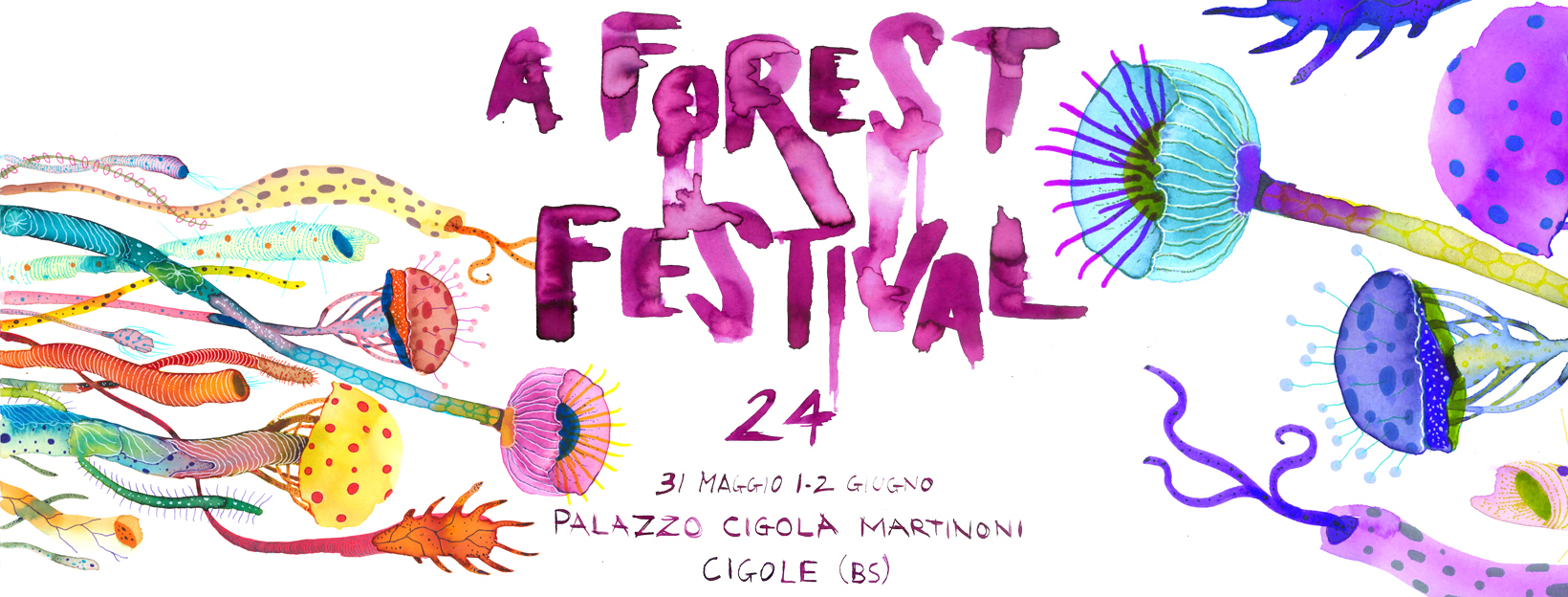 Aforest festival 2024