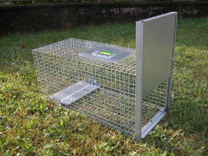 Corso per eradicazione della Nutria