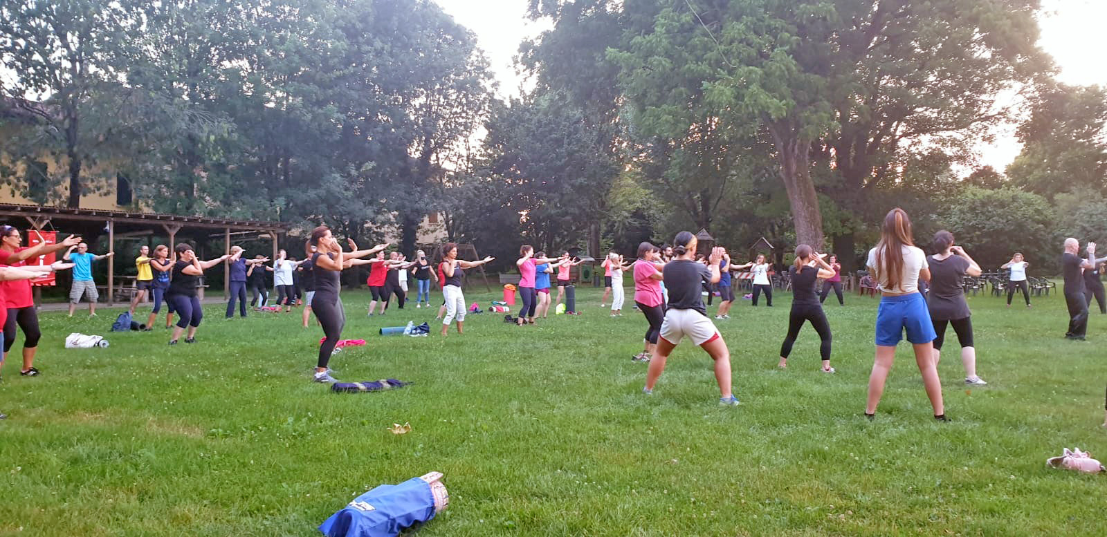 Successo per il tai chi al parco